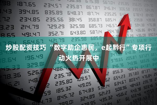 炒股配资技巧 “数字助企惠民，e起黔行”专项行动火热开展中