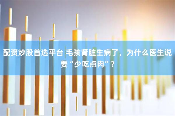 配资炒股首选平台 毛孩肾脏生病了，为什么医生说要“少吃点肉”？